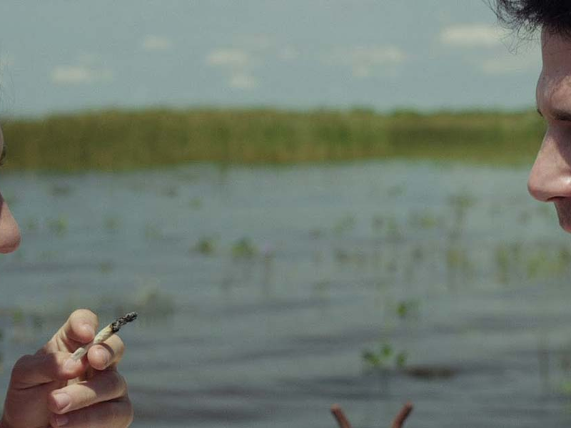 Foto 2 de Estuários