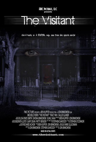 Poster 1 de Filme The Visitant (2012)