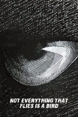 Not Everything That Flies Is a Bird (Nije ptica sve što leti)