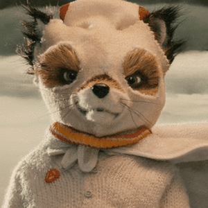 Foto de perfil de Mayk