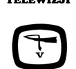 Teatr telewizji