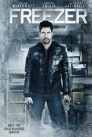 Poster 3 de Filme Congelado (2014)