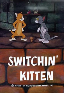 Preste Digitadora (Switchin' Kitten)