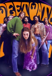 Na Estrada do Rock (Sweetwater)