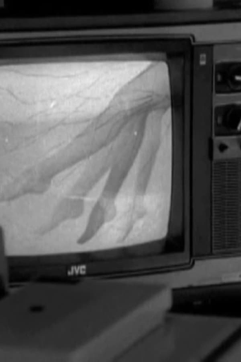 Poster de Curta Haiku (2009)