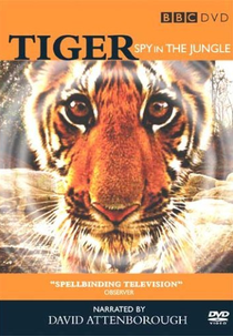 Tigre - Um Espião na Selva (Tiger - Spy in the Jungle)