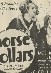 Um Cavalo e Três Cavalgaduras (Horses' Collars)