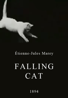 Falling Cat (Falling Cat)