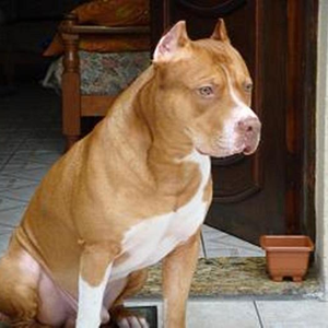 Foto de perfil de ᴡᴡᴡ.mcrmarcelo.pgol.ru