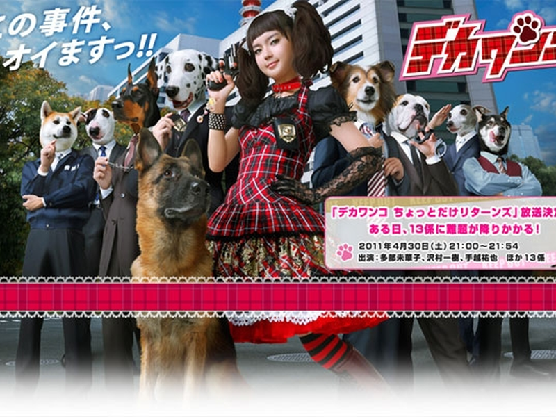 Foto 2 de Deka Wanko