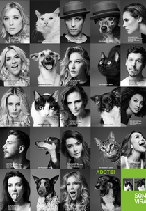 Somos Todos Vira-Latas (Somos Todos Vira-Latas)