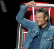The Blind Auditions, Part 5