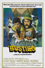 Mãos Sujas Sobre a Cidade (Busting)