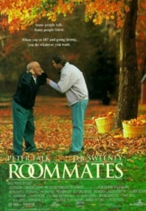 Dupla Sem Par (Roommates)