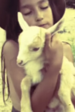 Soko: First Love Never Die (Soko: First Love Never Die)