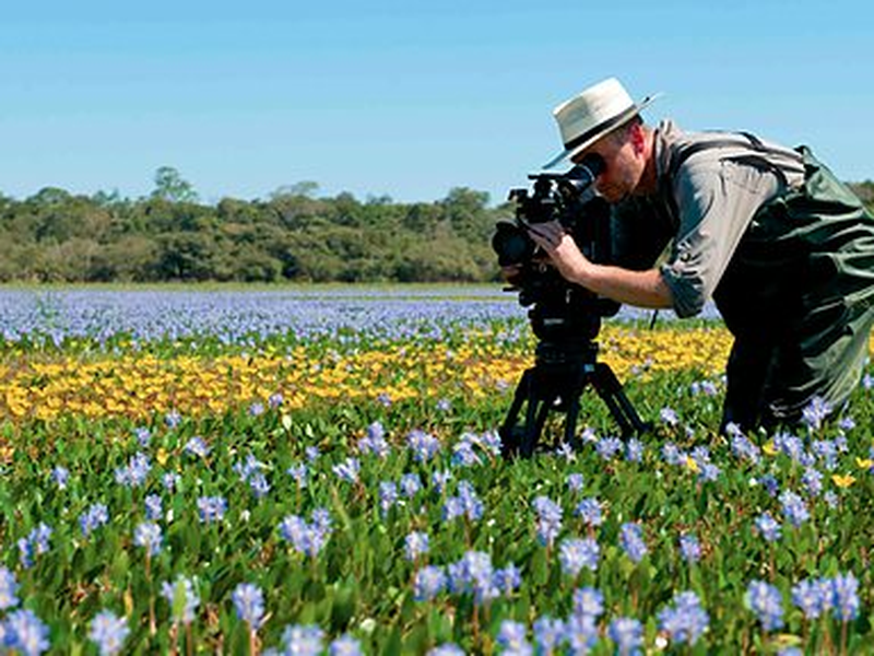 Foto 2 de Brasil Selvagem