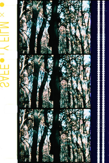  de Filme Maya (1979)