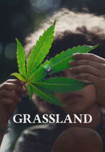 Grassland (Grassland)