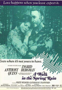 Caminhando sob a Chuva da Primavera (Walk in the Spring Rain)