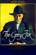 A Raposa Cinzenta (The Grey Fox)