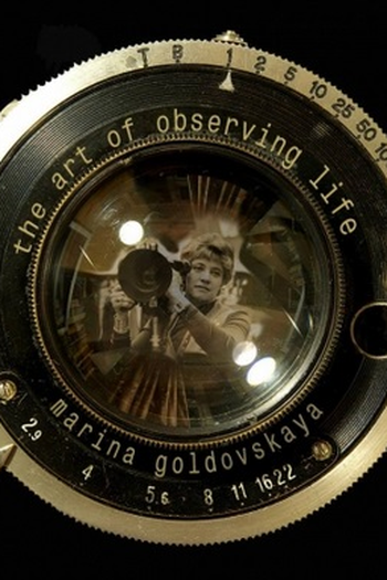 Poster de Filme A arte de observar a vida (2013)