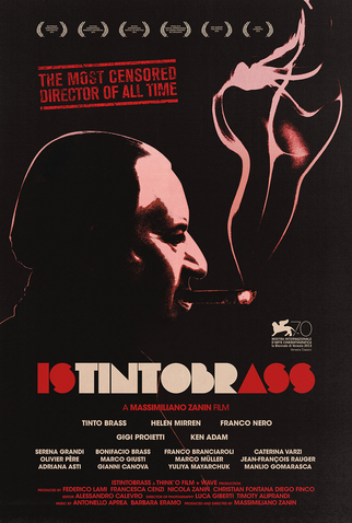 Poster 1 de Filme Istintobrass (2013)
