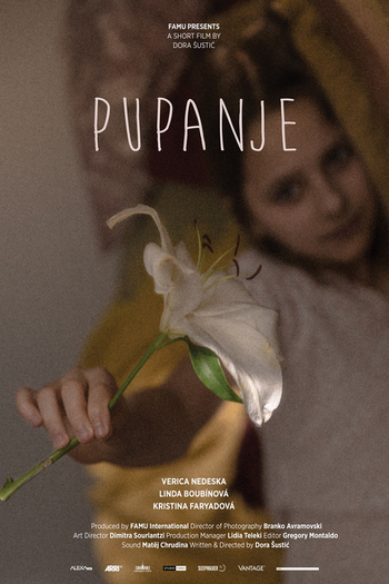 Poster de Curta Pupanje (2018)