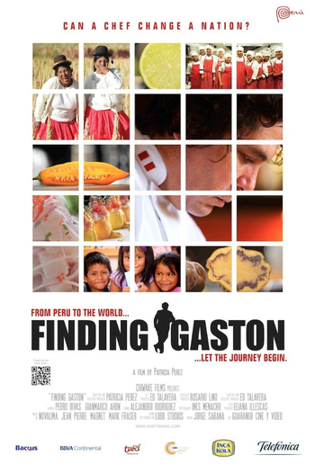 Poster de Filme Buscando a Gastón (2014)