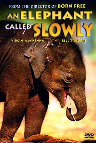 Poster 2 de Filme Um Amor De Elefante (1970)