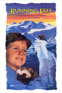Férias no Alaska - Poster / Capa / Cartaz - Oficial 1