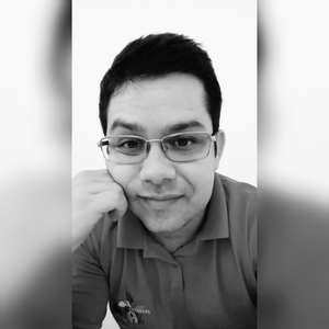 Foto de perfil de José Gomes