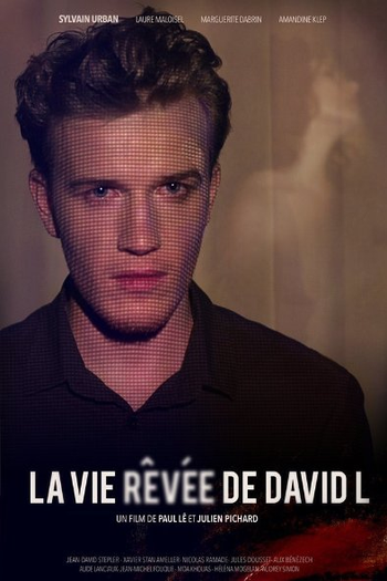 Poster de Filme A Vida-Sonho de David L. (2014)