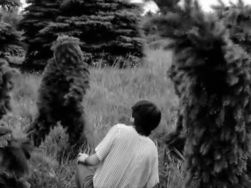 Foto 6 de The Beast Pageant 