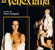 A Veneziana