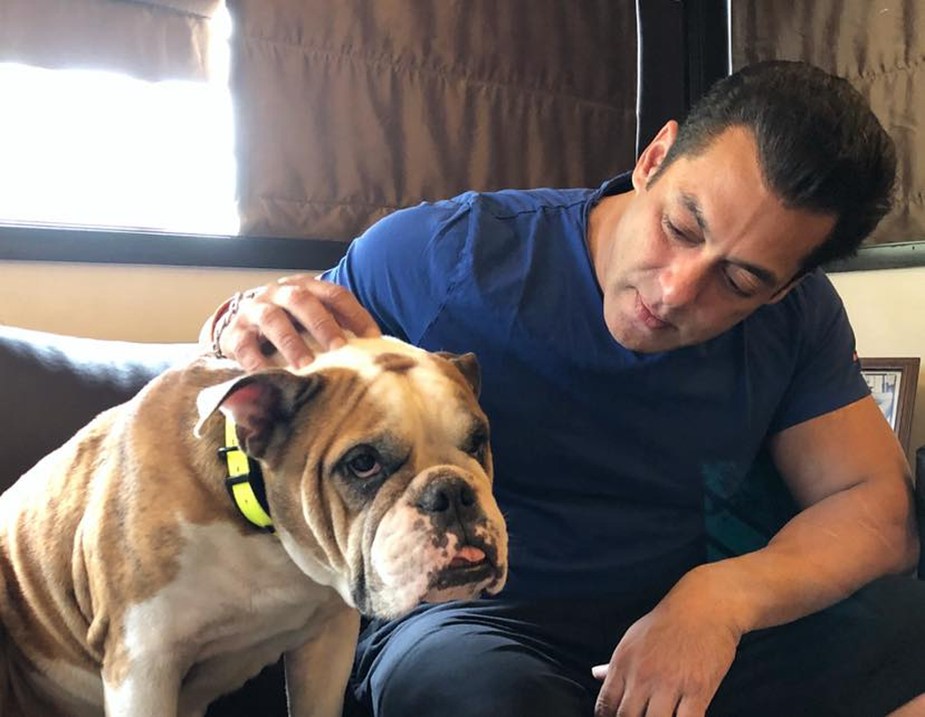 Salman Khan - Foto 6