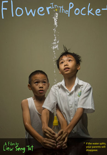 Pequenas Flores (Flower in the Pocket)