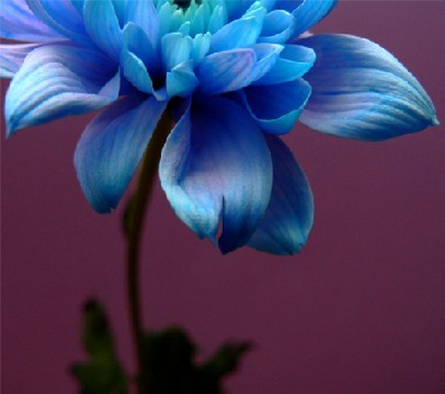 Jackeline - Foto 3