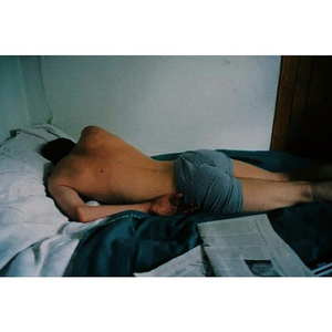 Foto de perfil de 01 DROMEDÁRIO