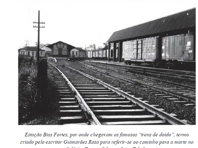 Foto 4 de Holocausto Brasileiro