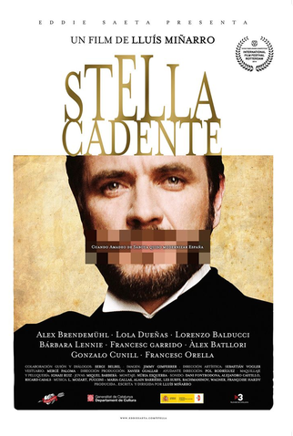 Poster 2 de Filme Estrela Cadente (2014)