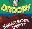 Homesteader Droopy