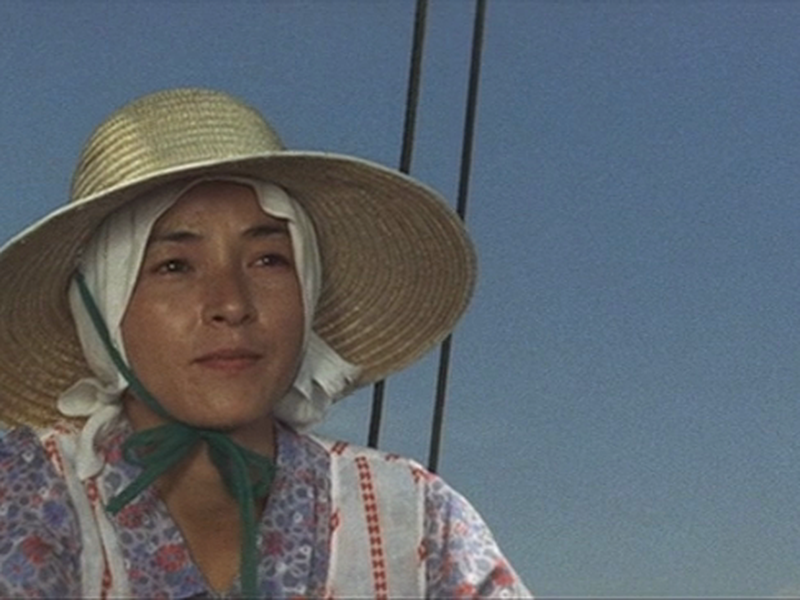 Foto 1 de Terra Natal