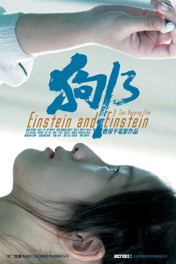 Poster de Filme Einstein e Einstein (2013)