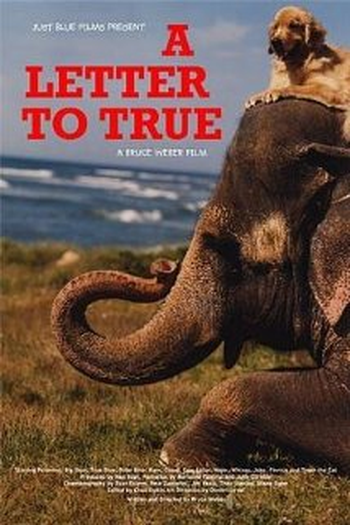 Poster de Filme A Letter to True  (2004)