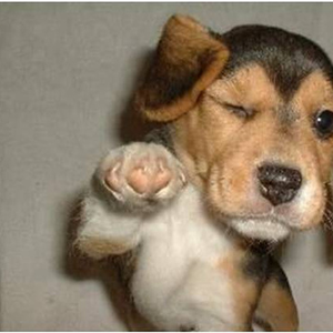 Foto de perfil de Janaina Barreto