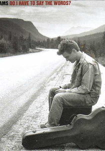 Bryan Adams: Do I Have to Say the Words? (Bryan Adams: Do I Have to Say the Words?)