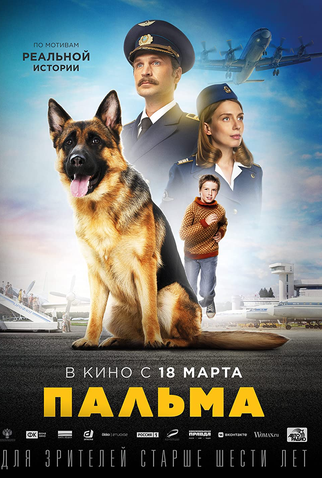 Poster 2 de Filme Minha Amiga Palma (2021)