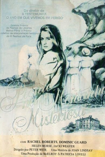 Picnic na Montanha Misteriosa - Poster / Capa / Cartaz - Oficial 7