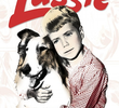 Lassie