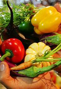 Projeto PANCs: Soberania Alimentar e Biodiversidade Palpável (Projeto PANCs: Soberania Alimentar e Biodiversidade Palpável)